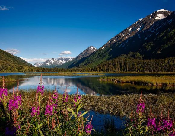 Alaska Wonders